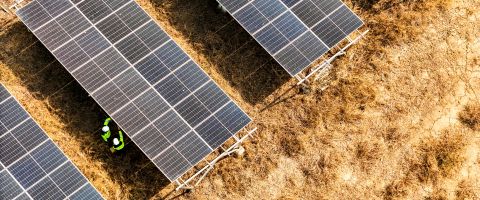 Paneles solares
