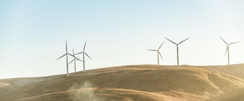 Molinos eólicos